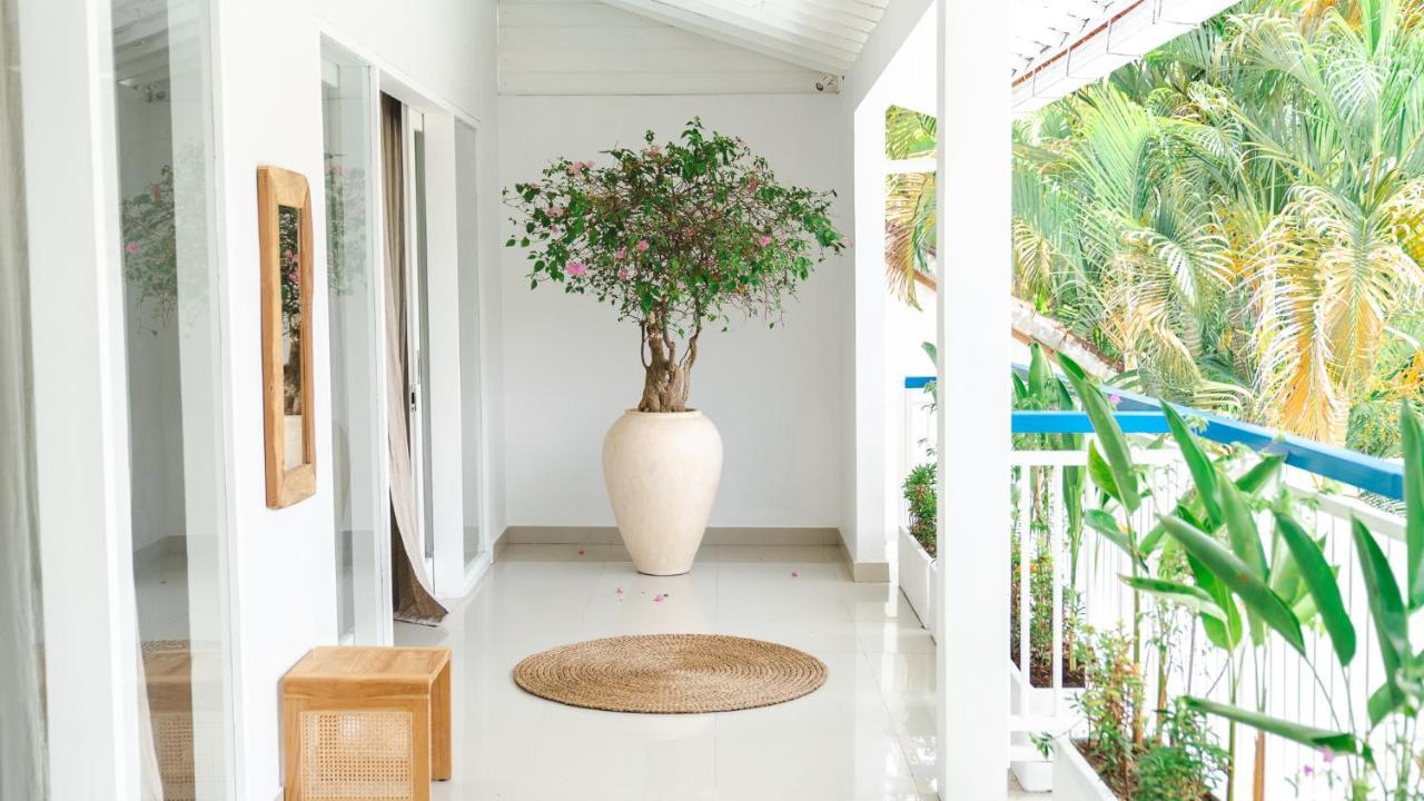 Villa Diola 3 Canggu Eksteriør billede