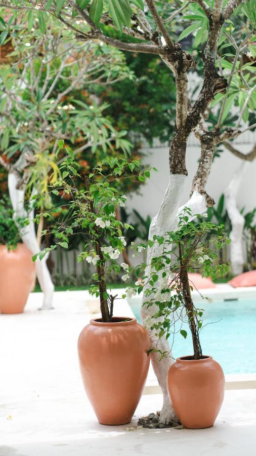 Villa Diola 3 Canggu Eksteriør billede